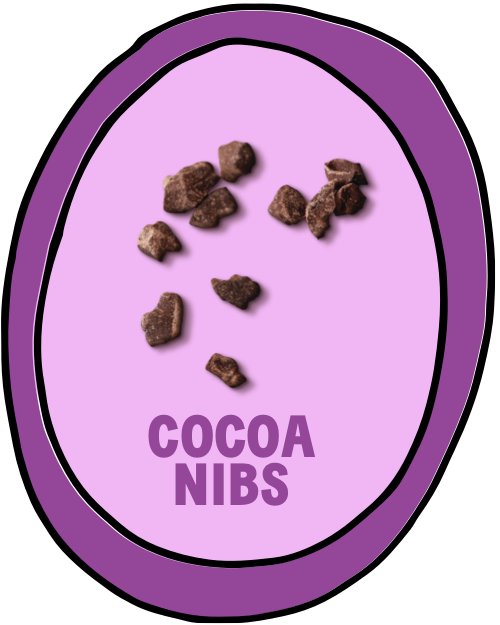 Cocoa Nibs