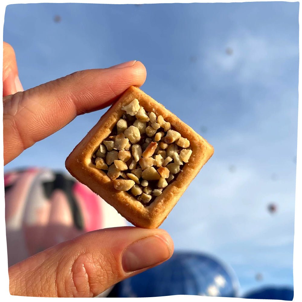 4 Cookie Squares - Chocolate and Toasted Hazelnuts (18 pack) micheletaugustin 